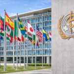 The Role of World Health Organizations in Global Public Health